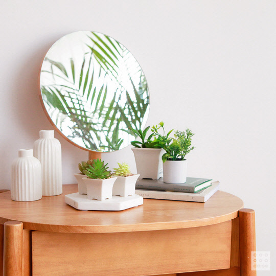 다이소가 플랜테리어 기획전을 진행한다. <아성다이소 제공>